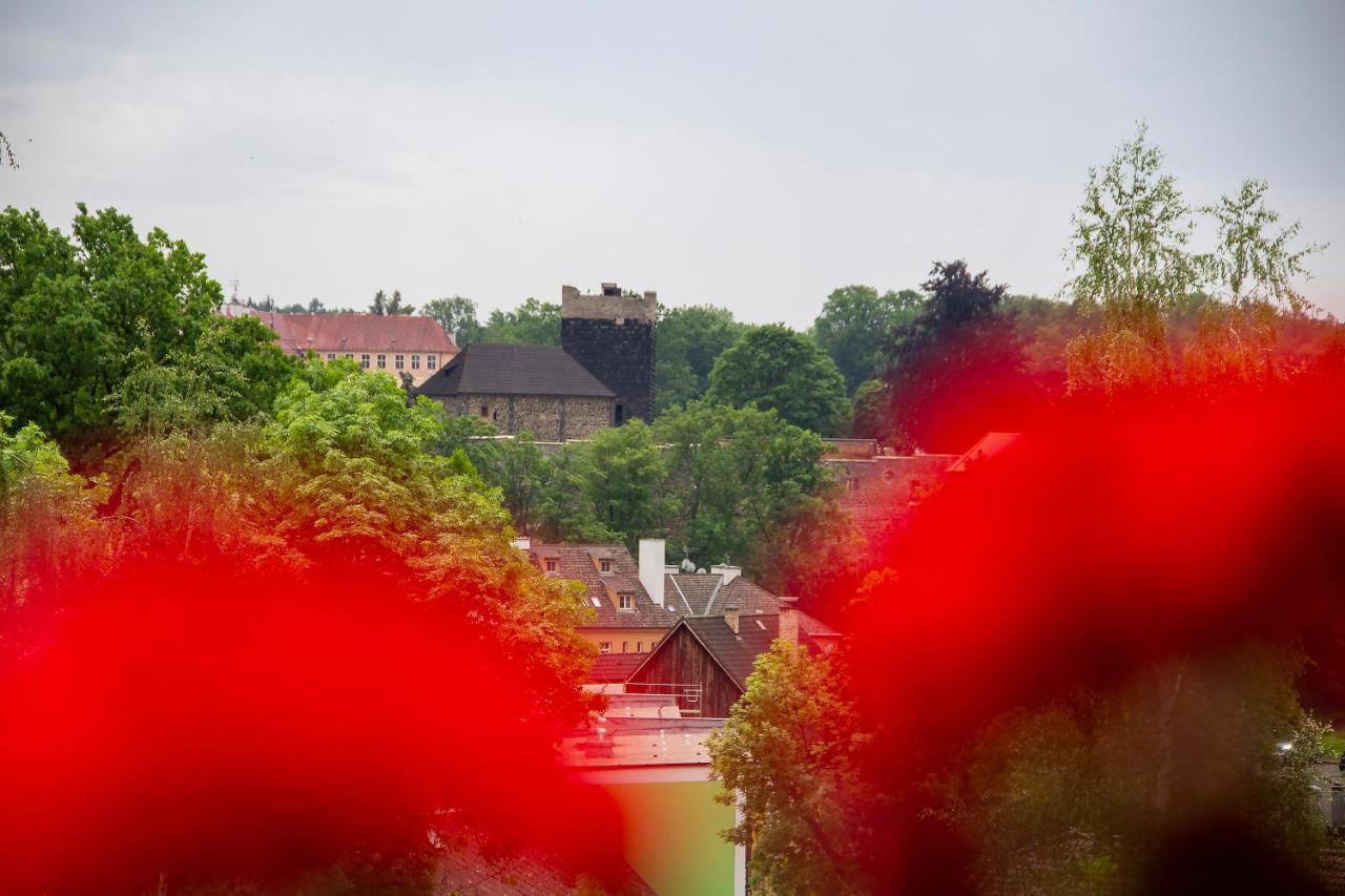 Penzion Cafe Na Svahu Cheb Exterior foto